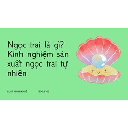 Ngọc trai là gì? Kinh nghiệm sản xuất ngọc trai tự nhiên
