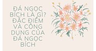 Đá ngọc bích là gì? Đặc điểm và công dụng của đá ngọc bích