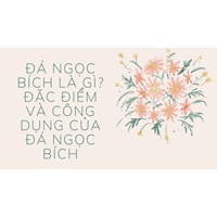 Đá ngọc bích là gì? Đặc điểm và công dụng của đá ngọc bích