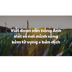 Viết đoạn văn tiếng Anh viết về nơi mình sống kèm từ vựng + bản dịch