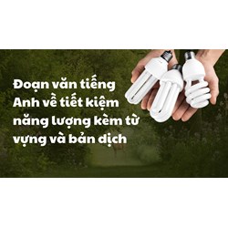 Đoạn văn tiếng Anh về tiết kiệm năng lượng kèm từ vựng và bản dịch