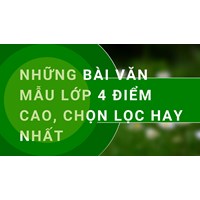 Những bài văn mẫu lớp 4 điểm cao, chọn lọc hay nhất