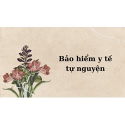 Tham gia bảo hiểm y tế tự nguyện trong thời gian tạm hoãn hợp đồng lao động được không?