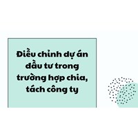 Điều chỉnh dự án đầu tư trong trường hợp chia, tách công ty