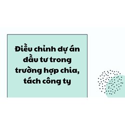 Điều chỉnh dự án đầu tư trong trường hợp chia, tách công ty