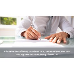 Hướng dẫn chi tiết Mẫu Phụ lục số tiền thuế, tiền chậm nộp, tiền phạt phải nộp được bù trừ