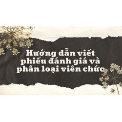 Hướng dẫn viết phiếu đánh giá và phân loại viên chức năm 2025