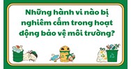 Những hành vi nào bị nghiêm cấm trong hoạt động bảo vệ môi trường?
