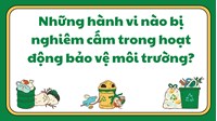 Những hành vi nào bị nghiêm cấm trong hoạt động bảo vệ môi trường?