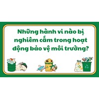 Những hành vi nào bị nghiêm cấm trong hoạt động bảo vệ môi trường?