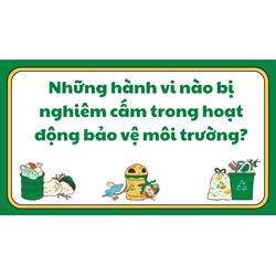 Những hành vi nào bị nghiêm cấm trong hoạt động bảo vệ môi trường?