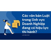 Các văn bản Luật trong lĩnh vực Doanh Nghiệp đang có hiệu lực thi hành?