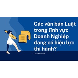 Các văn bản Luật trong lĩnh vực Doanh Nghiệp đang có hiệu lực thi hành?