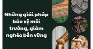 Những giải pháp bảo vệ môi trường, giảm nghèo bền vững