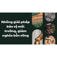 Những giải pháp bảo vệ môi trường, giảm nghèo bền vững