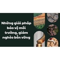 Những giải pháp bảo vệ môi trường, giảm nghèo bền vững