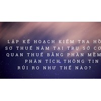 Lập kế hoạch kiểm tra hồ sơ thuế năm tại trụ sở cơ quan thuế bằng phần mềm phân tích thông tin rủi ro như thế nào?