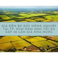 Giá đền bù đất nông nghiệp tại TPHCM tối đa gấp 38 lần giá nhà nước