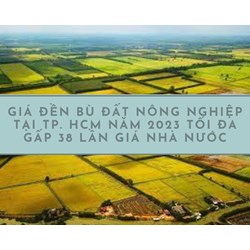 Giá đền bù đất nông nghiệp tại TPHCM tối đa gấp 38 lần giá nhà nước