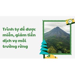 Trình tự để được miễn, giảm tiền dịch vụ môi trường rừng