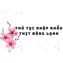 Thủ tục nhập khẩu thịt đông lạnh