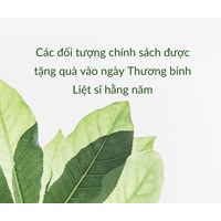 Các đối tượng chính sách được tặng quà vào ngày Thương binh Liệt sĩ hằng năm