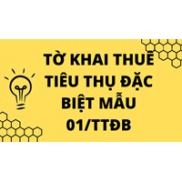 Hướng dẫn khai Tờ khai thuế tiêu thụ đặc biệt (trừ hoạt động sản xuất, pha chế xăng sinh học)