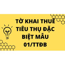 Hướng dẫn khai Tờ khai thuế tiêu thụ đặc biệt (trừ hoạt động sản xuất, pha chế xăng sinh học)