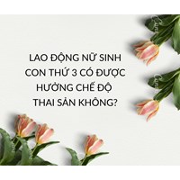 Lao động nữ sinh con thứ 3 có được hưởng chế độ thai sản không?
