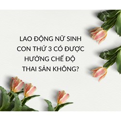 Lao động nữ sinh con thứ 3 có được hưởng chế độ thai sản không?
