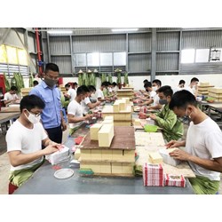 Điều kiện cấp giấy phép hoạt động cai nghiện ma túy tự nguyện