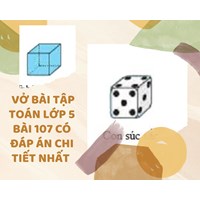Vở bài tập Toán lớp 5 bài 107 có đáp án chi tiết nhất