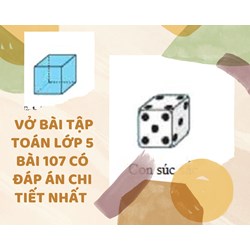Vở bài tập Toán lớp 5 bài 107 có đáp án chi tiết nhất