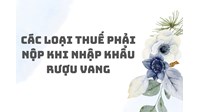 Các loại thuế phải nộp khi nhập khẩu rượu vang