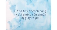 Hồ sơ hủy tư cách công ty đại chúng cần chuẩn bị giấy tờ gì?
