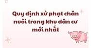 Quy định xử phạt chăn nuôi trong khu dân cư mới nhất