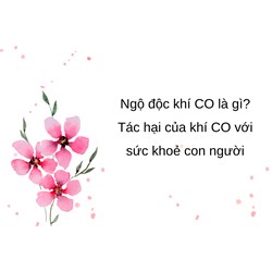 Ngộ độc khí CO là gì? Tác hại của khí CO với sức khoẻ con người