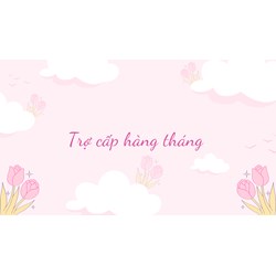 Trợ cấp hàng tháng đối với người hoạt động kháng chiến bị địch bắt tù, đày là bao nhiêu?