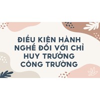 Điều kiện hành nghề đối với chỉ huy trưởng công trường