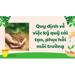 Quy định về việc ký quỹ cải tạo, phục hồi môi trường mới nhất