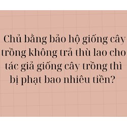 Chủ Bằng bảo hộ giống cây trồng không trả thù lao cho tác giả giống cây trồng thì bị phạt bao nhiêu?