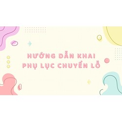 Hướng dẫn khai phụ lục chuyển lỗ