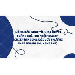 Hướng dẫn khai Tờ khai quyết toán thuế thu nhập doanh nghiệp (áp dụng đối với phương pháp doanh thu - chi phí)