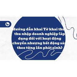 Hướng dẫn khai Tờ khai thuế thu nhập doanh nghiệp (áp dụng đối với hoạt động chuyển nhượng bất động sản theo từng lần phát sinh)