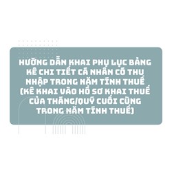 Hướng dẫn khai Phụ lục bảng kê chi tiết cá nhân có thu nhập trong năm tính thuế (kê khai vào hồ sơ khai thuế của tháng/quý cuối cùng trong năm tính thuế)