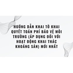 Hướng dẫn khai Tờ khai quyết toán phí bảo vệ môi trường (áp dụng đối với hoạt động khai thác khoáng sản) mới nhất