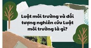 Luật môi trường và đối tượng nghiên cứu Luật môi trường là gì?