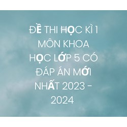 Đề thi học kì 1 môn Khoa học lớp 5 có đáp án mới nhất