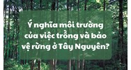 Ý nghĩa môi trường của việc trồng và bảo vệ rừng ở Tây Nguyên?