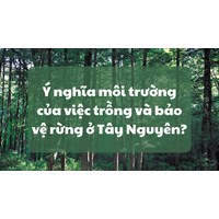 Ý nghĩa môi trường của việc trồng và bảo vệ rừng ở Tây Nguyên?
